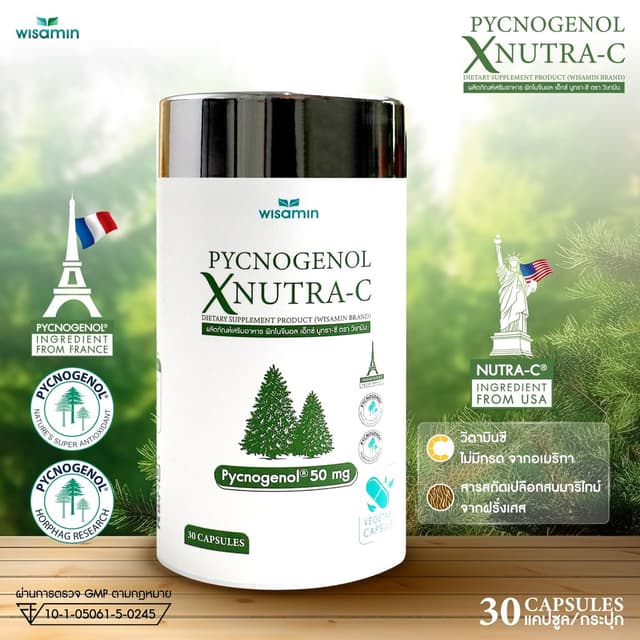 พิกโนจีนอล เอ็กซ์ นูทราซี PYCNOGENOL X NUTRA-C 590 mg สารสกั