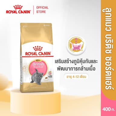 Royal Canin Kitten British Shorthair 400g อาหารเม็ดลูกแมวพันธุ์บริติช ชอร์ทแฮร์ อายุ4-12เดือน(Dry Cat Food, โรยัล คานิน)