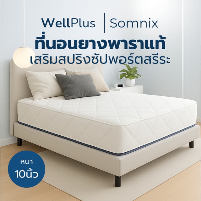 WellPlus ที่นอนยางพาราแท้เสริมสปริงพรีเมียม รุ่น Somnix หนา 