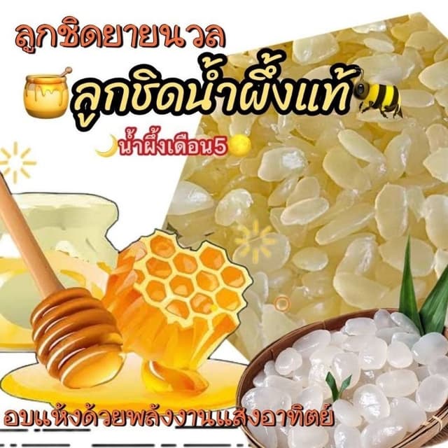 ลูกชิดอบแห้ง by ยายนวล  อบแห้งด้วยพลังงานแสงอาทิตย์  (ธรรมชา