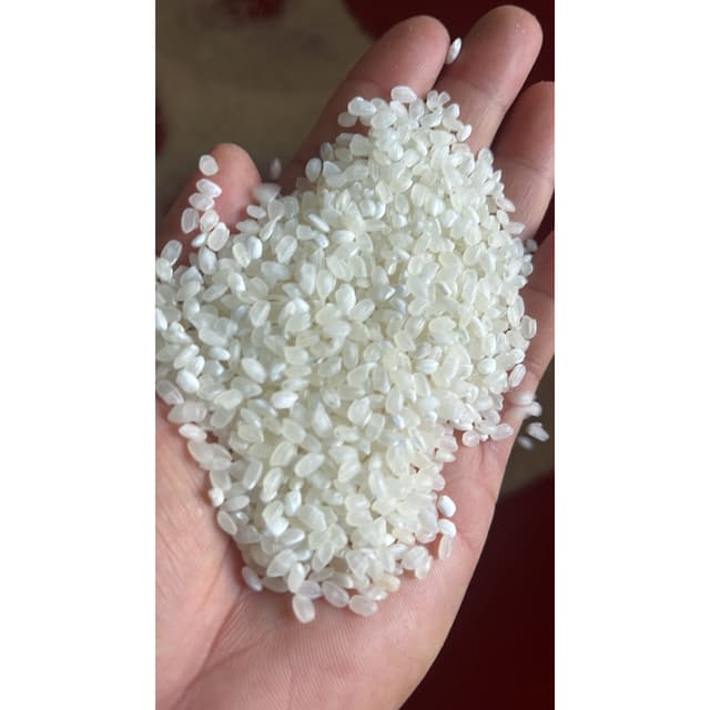 ข้าวญี่ปุ่น อาคิตะโคมาชิ 10 kg เข้าใหม่รับประกันความเหนียวนุ