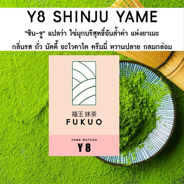 มัทฉะ (Fukuo) Y8 SHINJU YAME Matcha Ceremonial grade มัทฉะ โ