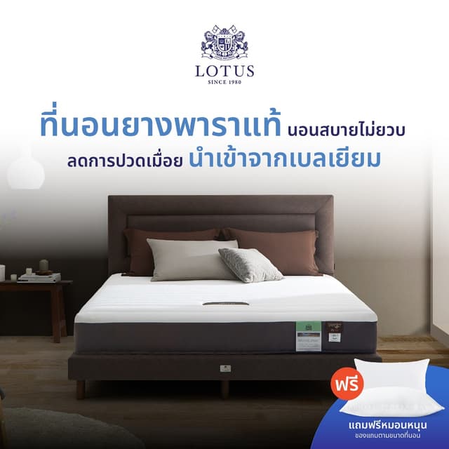 LOTUS ที่นอนยางพาราแท้ นอนสบายไม่ยวบ ลดการปวดเมื่อย นำเข้าจา